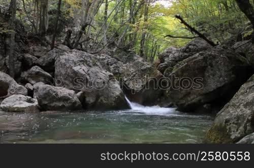 Forest river flowing gently over moss covered rocks