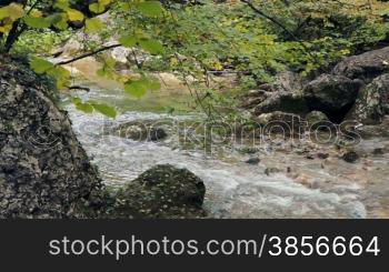 Forest river flowing gently over moss covered rocks