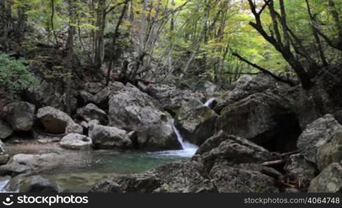 Forest river flowing gently over moss covered rocks