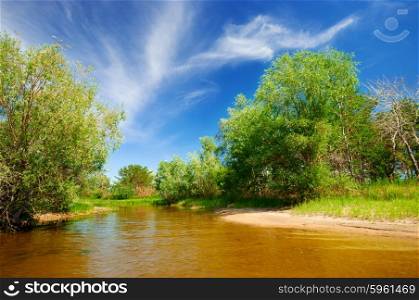 Forest river under cloudy sky