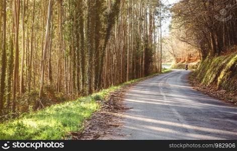 Forest road landscape in autumn with couple riding a motorbike in the background. Forest road landscape with couple riding motorbike