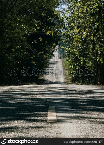 Forest road on a warm summer day in Mae Ping National Park, Thailand.