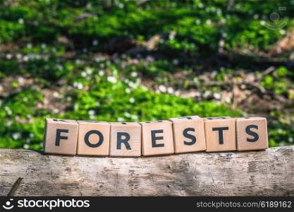 Forest sign made of wooden cubes on a branch