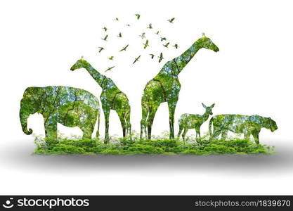 forest silhouette in the shape of a wild animal wildlife and forest conservation concept