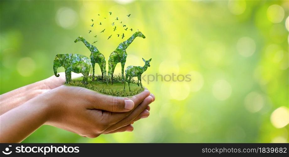 forest silhouette in the shape of a wild animal wildlife and forest conservation concept