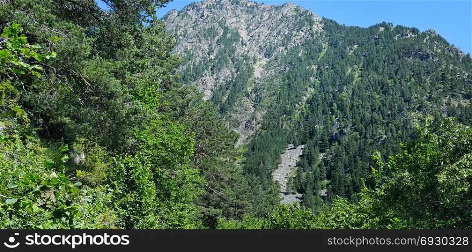 Forest slopes of the mountains in summer sunlight with a view of distant peaks and ranges in the scenic Andorra landscape. Wide photo.