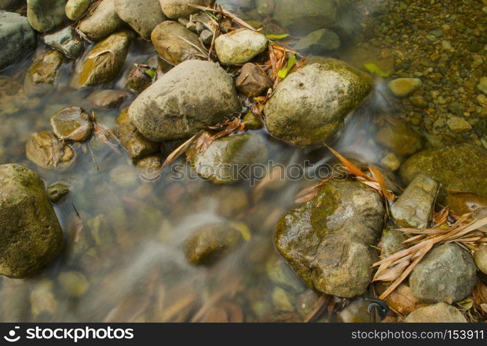 Forest stream running over mossy rocks