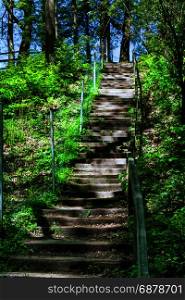 Forest trail, hiking trail in Neandertal with steep stairs