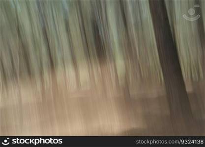 Forest tree trunks abstract landscape blur. Intentional camera movement long exposure.