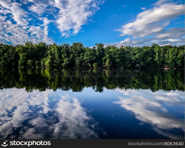 forest treeline reflections in catawba river