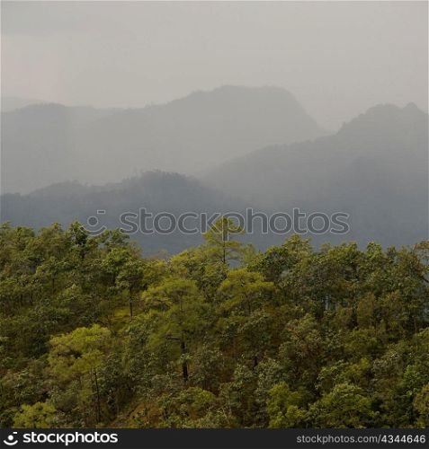 Forest with a mountain range in the background, Thailand