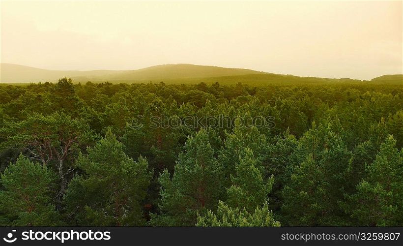 Forested landscape fading into hazy hills.