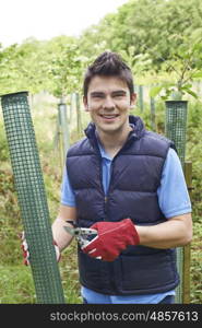 Forestry Worker Caring For Young Trees