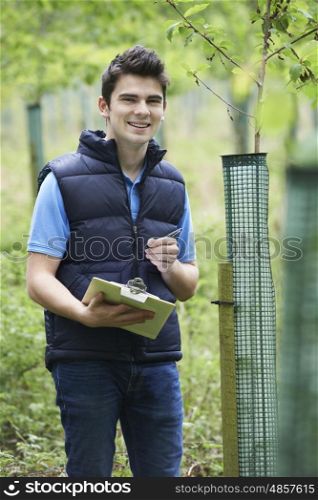 Forestry Worker With Clipboard Checking Young Trees