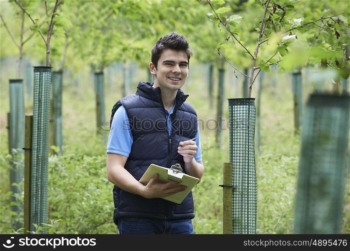 Forestry Worker With Clipboard Checking Young Trees