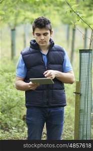 Forestry Worker With Digital Tablet Checking Young Trees