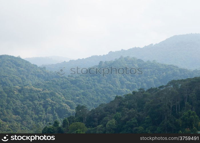 Forests and mountains Tree-covered mountains Fog in the morning