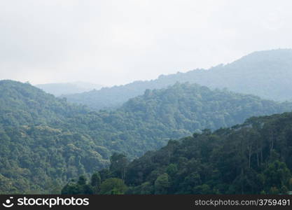 Forests and mountains Tree-covered mountains Fog in the morning