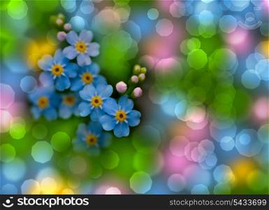 forget-me-not with bokeh on green grass background