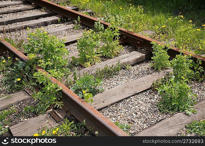 Forgotten railway