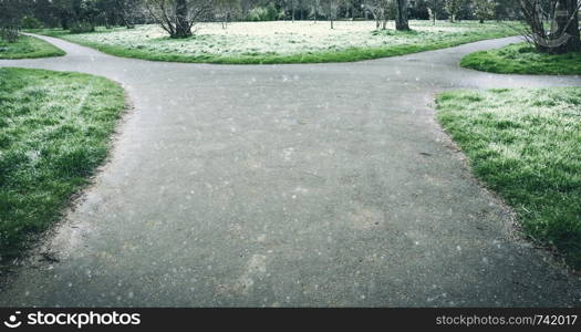 Fork in park footpath covered in snow - metaphor for difficult life decisions. Fork with four different paths in park footpath covered in snow