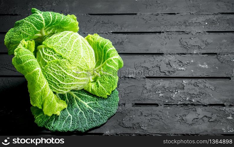 Forks fresh cabbage. On black rustic background. Forks fresh cabbage.