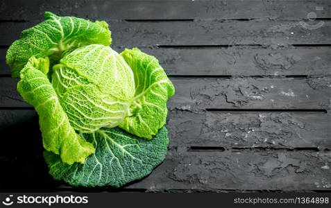 Forks fresh cabbage. On black rustic background. Forks fresh cabbage.