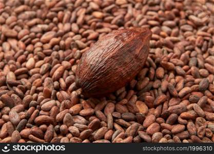 Form above of whole organic cocoa pod on bunch of unpeeled raw beans of Theobroma cacao tree. Single pod of cocoa on beans