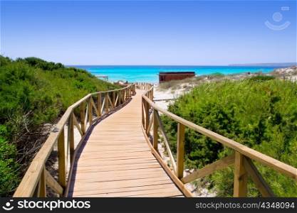 Formentera migjorn Els Arenals beach walkway of wood in Spain
