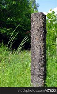 Former concrete fence post in the forest.
