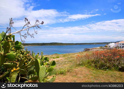 Fornells es Mercadal in Menorca at Balearic islands of Spain