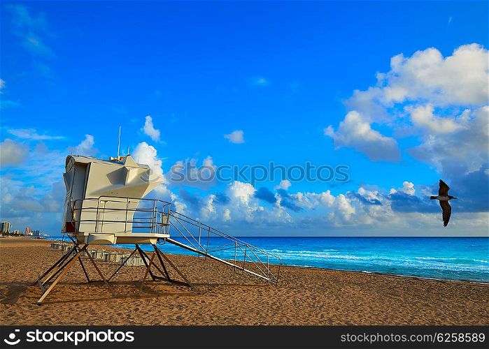 Fort Lauderdale beach morning sunrise in Florida USA baywatch tower