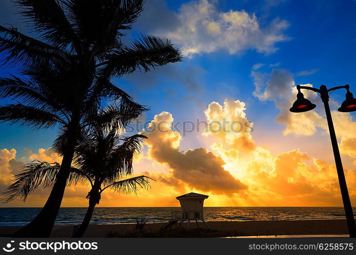 Fort Lauderdale beach morning sunrise in Florida USA palm trees