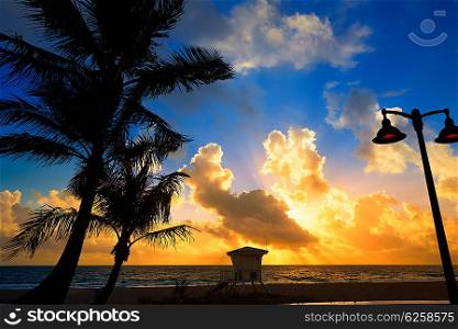 Fort Lauderdale beach morning sunrise in Florida USA palm trees