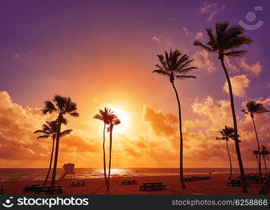 Fort Lauderdale beach morning sunrise in Florida USA palm trees