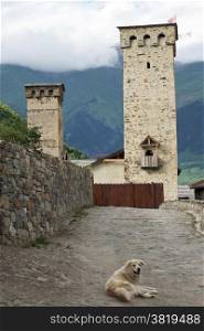 Fortified towers of Swanetia, Mestia, Georgia, Europe