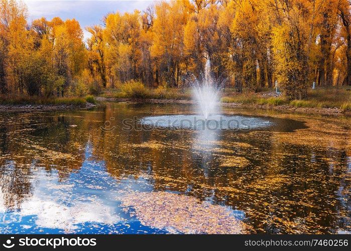 Fountain in beautiful autumn park