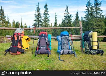 Four backpacks and hiking poles standing near fence and green forest