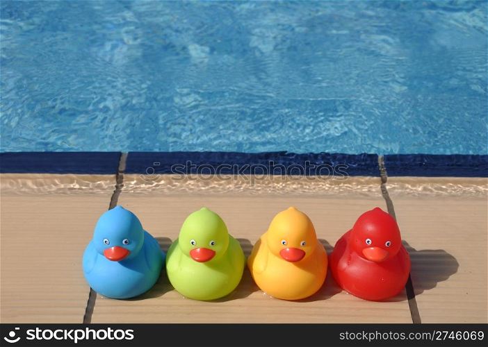 four colorful rubber ducks at the pool side (kids toy)