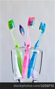 Four different colored toothbrushes in clear toothbrush holder.