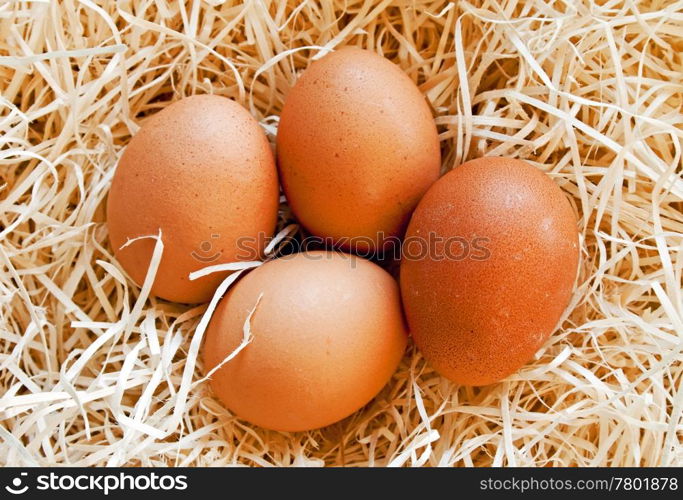 Four fresh hen eggs on straw