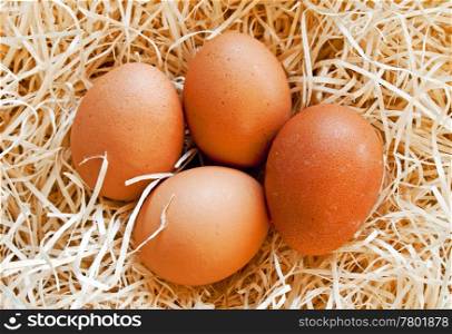 Four fresh hen eggs on straw