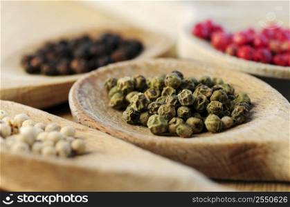 Four kinds of peppercorns in wooden cooking spoons, macro