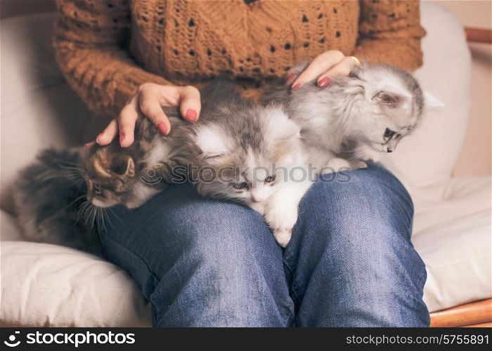 Four kittens on the girl&#39;s knees close up