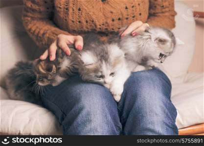 Four kittens on the girl&#39;s knees close up