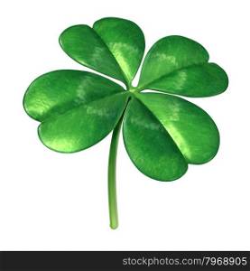 Four leaf clover plant as an Irish symbol for a green lucky charm icon of good luck and fortune as an opportunity for success isolated on a white background.