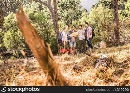 Four male hikers reading map in forest, Deer Park, Cape Town, South Africa