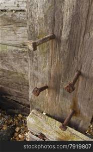 Four old iron bolts in vertical wooden plank