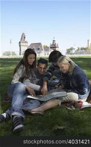 Four people in a park looking at a map