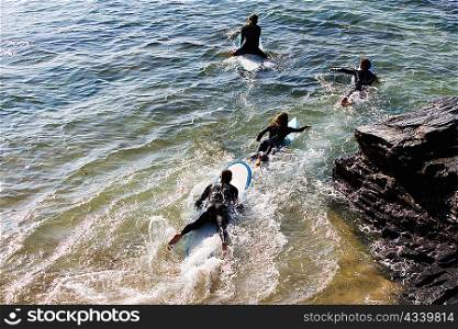 Four people on surfboards in the water